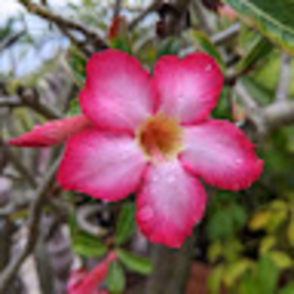 Meet your Posher, Wendi - Picture 1 of 1